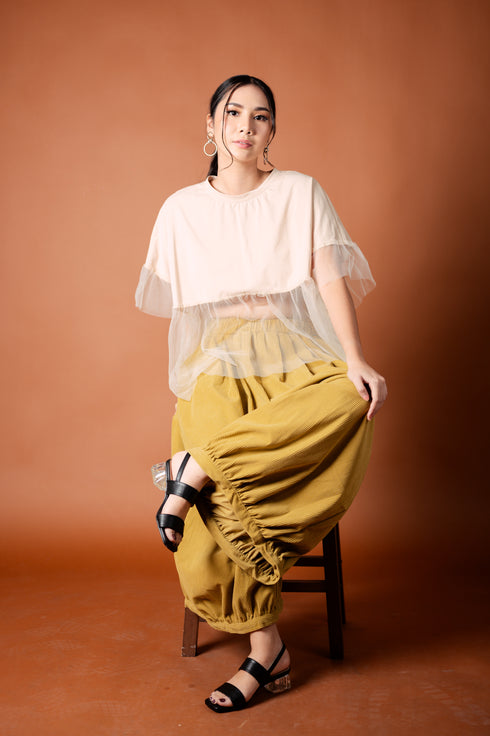 It's All About Mesh: Ima