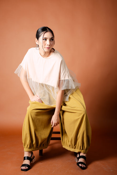 It's All About Mesh: Ima