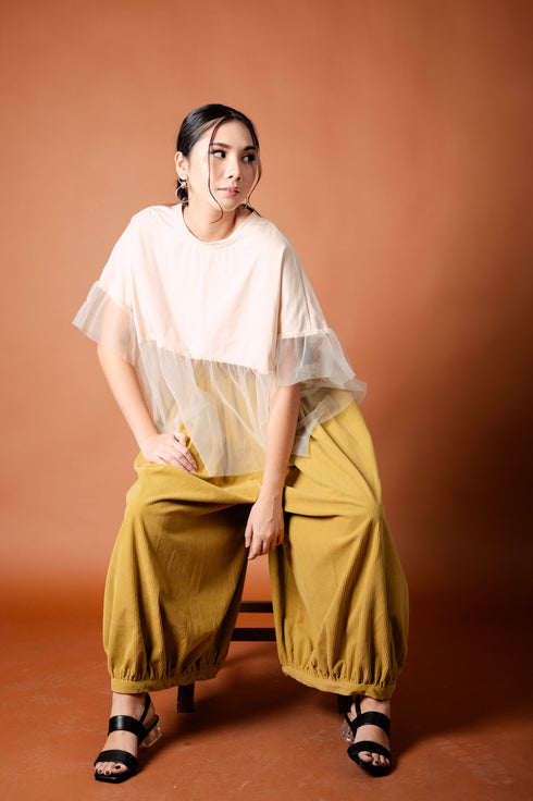 It's All About Mesh: Ima