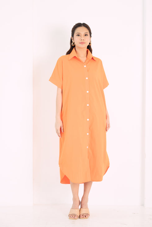 GS The Classics: Rosemarie Buttondown Dress