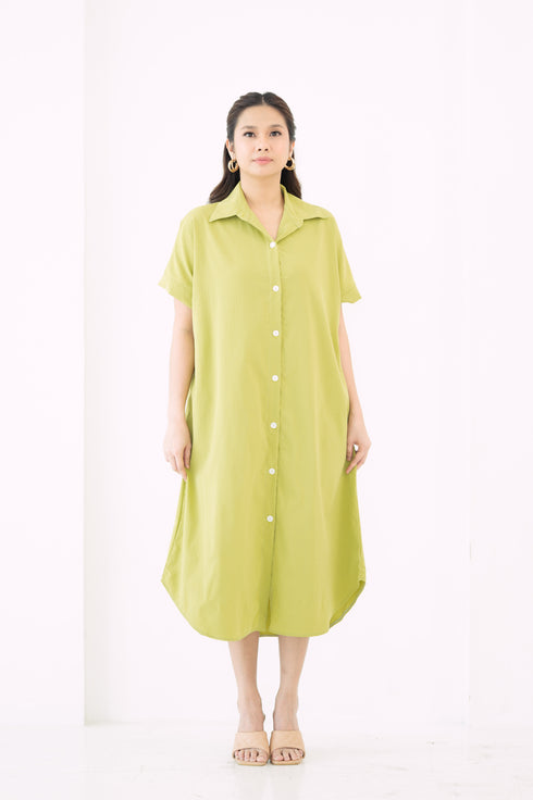 GS The Classics: Rosemarie Buttondown Dress