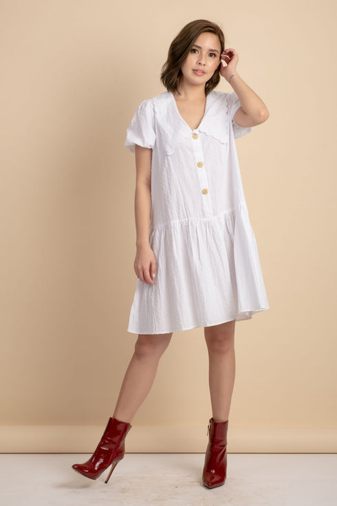 Hannah Dress with Collar