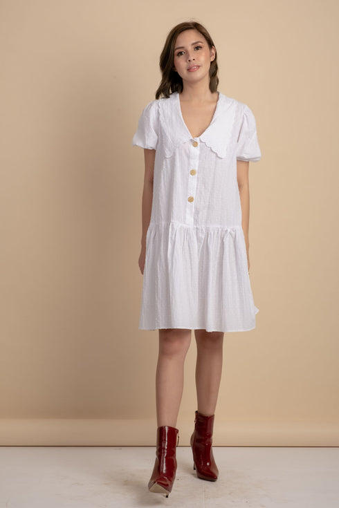 Hannah Dress with Collar