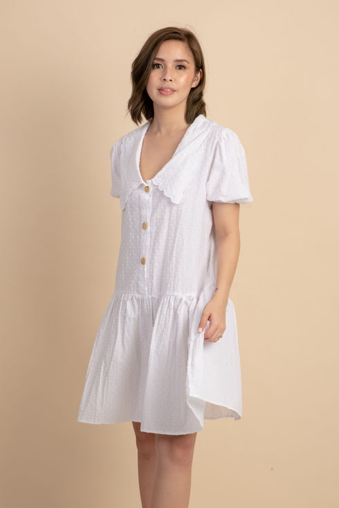 Hannah Dress with Collar