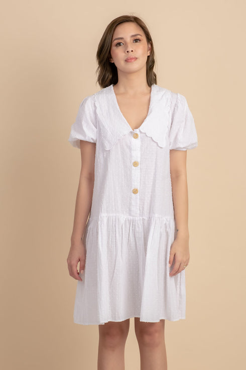 Hannah Dress with Collar