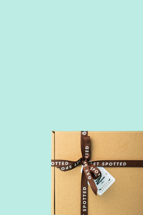 Holiday Bundle C (2 Tops + Powerbank)