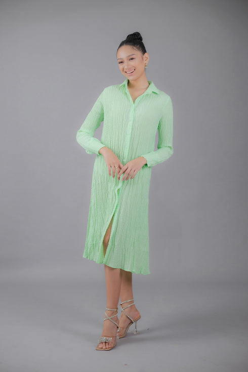 GS Date Night 2: Rachel Button Down Dress