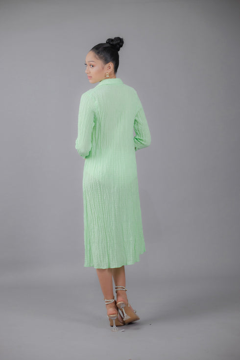 GS Date Night 2: Rachel Button Down Dress