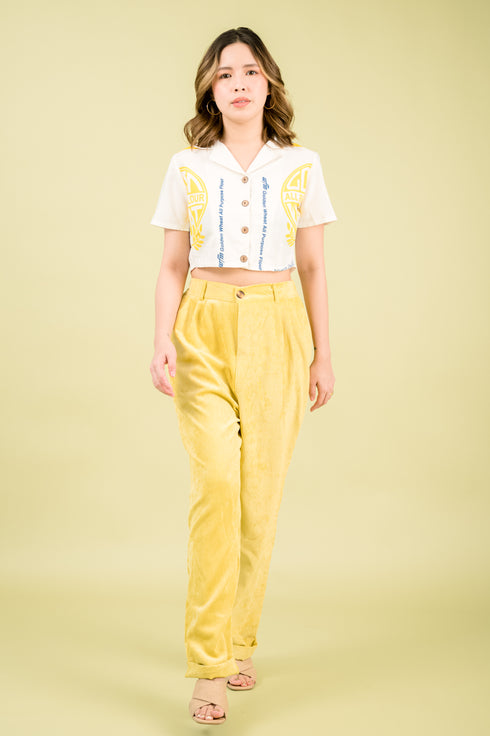 GS Basics 3: Kathryn Button Down Shirt