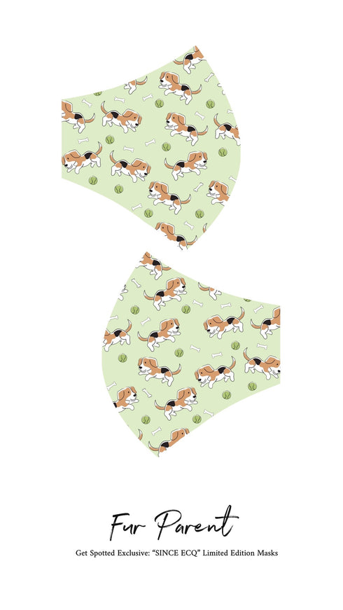 SINCE ECQ Limited Ed Masks w/ Pocket for Filter