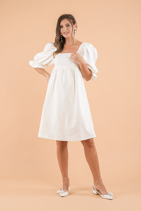 Whites Collection: Begonia